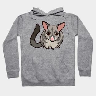 Possum Hoodie